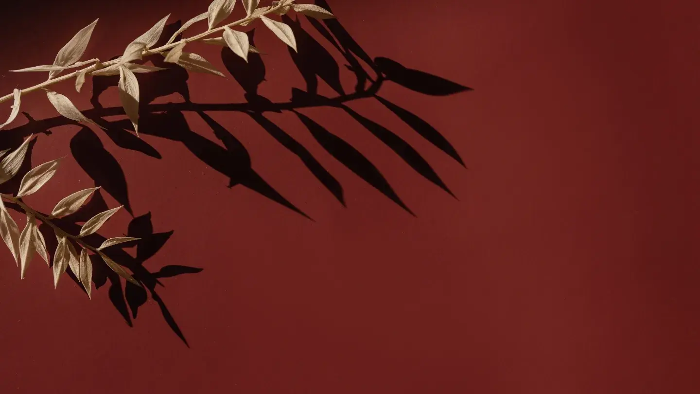 Image of a deep red, maroon background with two branches of beige coloured leaves hanging above it